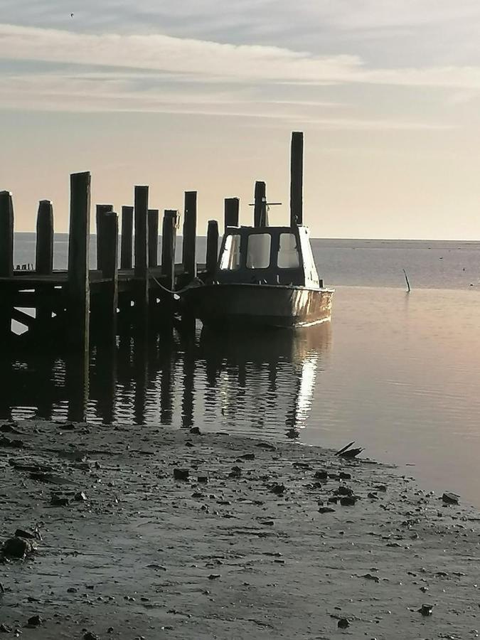 Bed and Breakfast Dock10Texel à De Cocksdorp  Extérieur photo